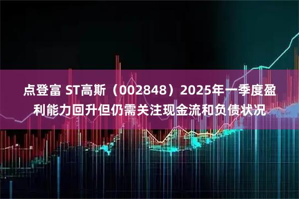 点登富 ST高斯（002848）2025年一季度盈利能力回升但仍需关注现金流和负债状况